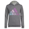 Girls 4-6x adidas Graphic Hoodie -Deals Adidas Store 5561754 Gray